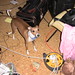 Cheryl Crawford Photo 22