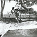 Jack Randolph Photo 3