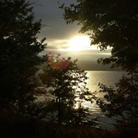 Diane Wyman Photo 6