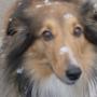 Tammy Hensley Photo 34