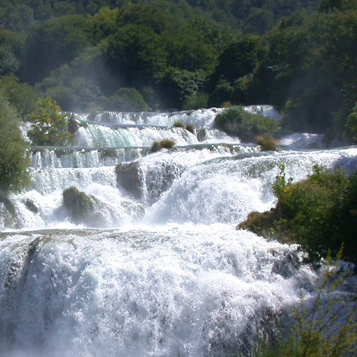 Ilir Agolli Photo 1
