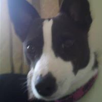 Helen Todd Photo 12