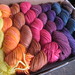 Laura Tanis Photo 7
