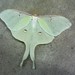Larry Selby Photo 21