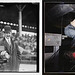 Alfred Schaefer Photo 11