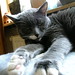 Pauline Sharp Photo 16