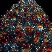 Lisa Strader Photo 7