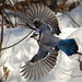 Jay Yates Photo 20