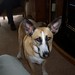 Sandy Gwyn Photo 5