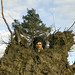 Marcus Root Photo 7