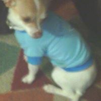 Cornelio Rodriguez Photo 9