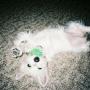 Debra Underwood Photo 23