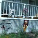 Austin Myrick Photo 15
