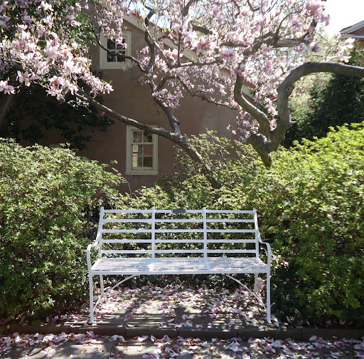 Jennifer Stauffer Photo 17