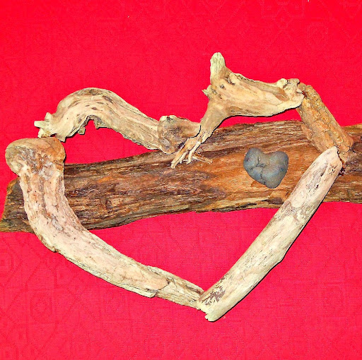 Debbie O'Donnell Photo 12