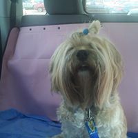 Tashi Smith Photo 5