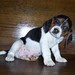 Lisa Hicks Photo 32
