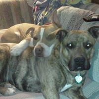 Jean Vaughn Photo 31