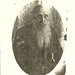 Milton Hampton Photo 11