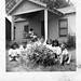Sandra Perry Photo 33