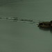 Rebecca Mallard Photo 14
