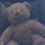 Henry Bear Photo 12