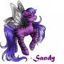 Sandra Payton Photo 22