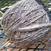 Jane Conrad Photo 10