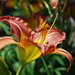 Leslie Gloyd Photo 13