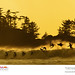 Jeremy Devries Photo 13