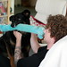 Stephen Bailey Photo 44