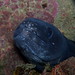 Stephen Conger Photo 12