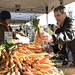 Michael Farmer Photo 46