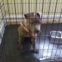 Terry Troutman Photo 22