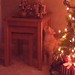 Cassandra Helms Photo 11