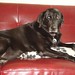 Casey Little Photo 38