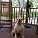 Stephen Applegate Photo 16