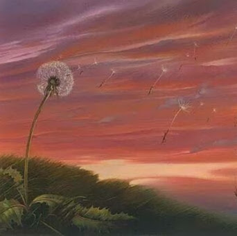 Barbara Romer Photo 3