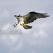 Steven Daugherty Photo 10
