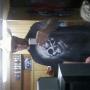 Justin Matthews Photo 30