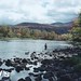 David Orvis Photo 11