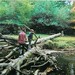 Robin Cross Photo 11