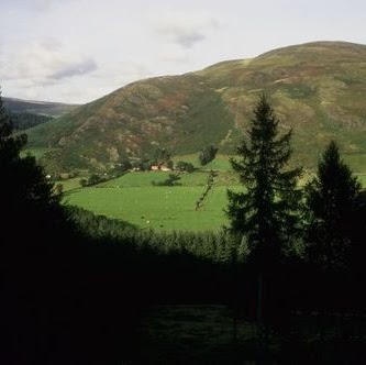 Ronald Pierce Photo 20