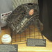 Dewayne Hall Photo 17