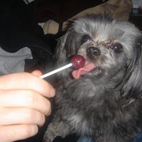 Sammy Short Photo 5