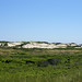 Larry Herring Photo 15