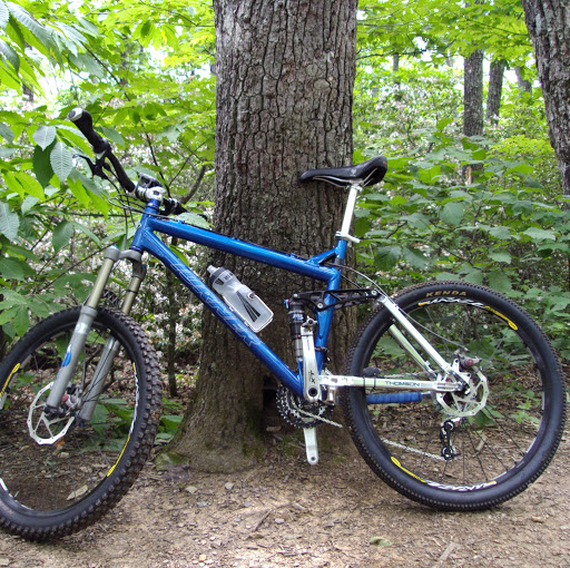 Chris Silvia Photo 32