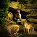 Daniel Bone Photo 7
