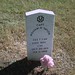 William Taylor Photo 7