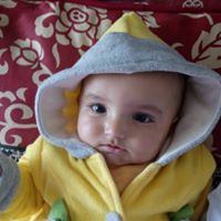 Syed Abid Photo 41